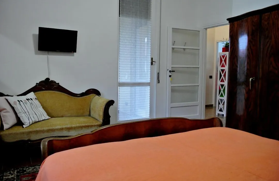 B&B Lori-1